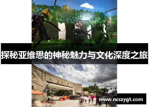 探秘亚维思的神秘魅力与文化深度之旅