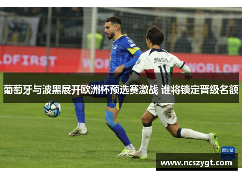 葡萄牙与波黑展开欧洲杯预选赛激战 谁将锁定晋级名额