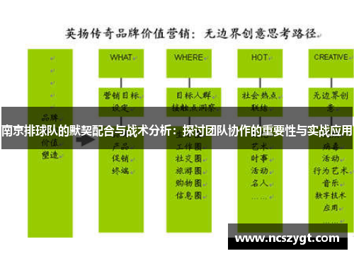 南京排球队的默契配合与战术分析：探讨团队协作的重要性与实战应用