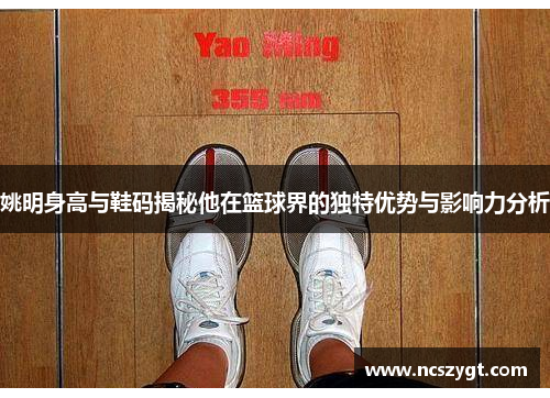 姚明身高与鞋码揭秘他在篮球界的独特优势与影响力分析