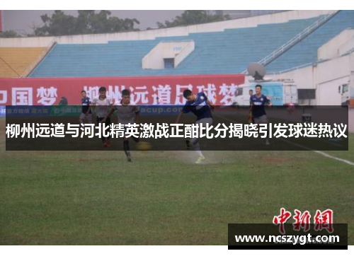 柳州远道与河北精英激战正酣比分揭晓引发球迷热议