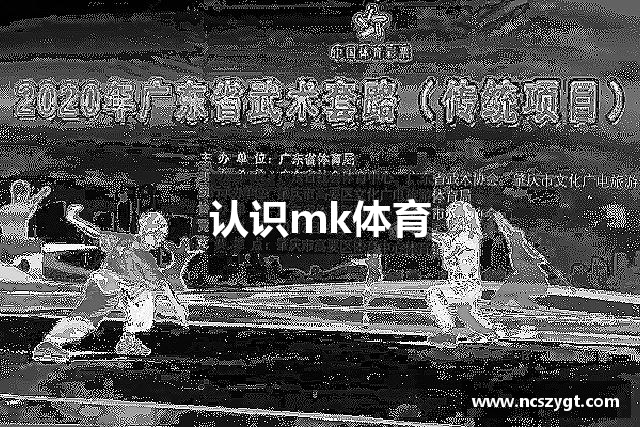 认识mk体育